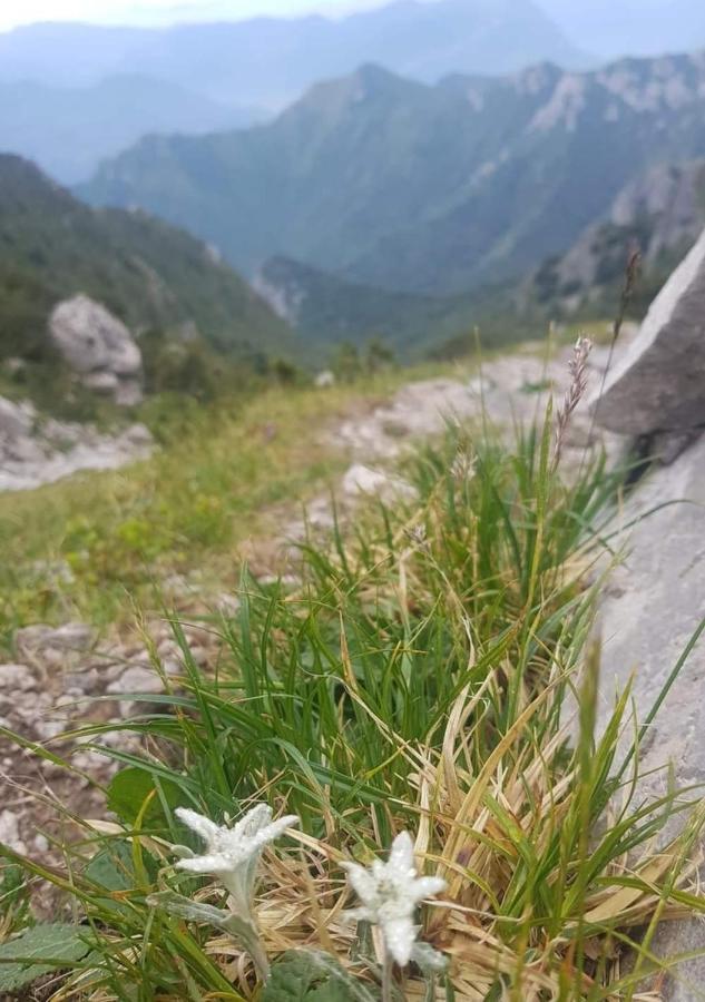 Stephanie Residence Esino Lario ภายนอก รูปภาพ